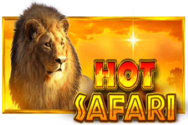 Hot Safari